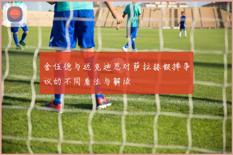 舍伍德与迈克迪恩对萨拉赫假摔争议的不同看法与解读