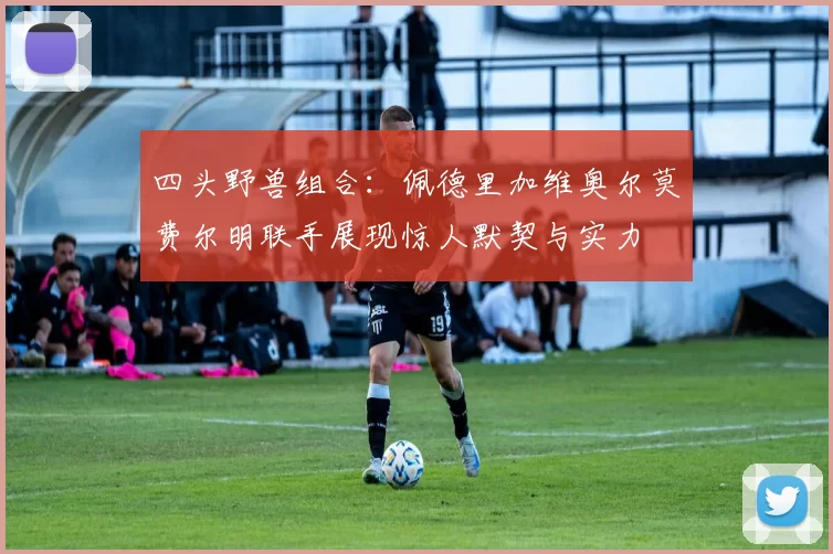 四头野兽组合：佩德里加维奥尔莫费尔明联手展现惊人默契与实力