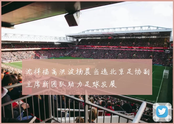 沈祥福高洪波杨晨当选北京足协副主席新团队助力足球发展