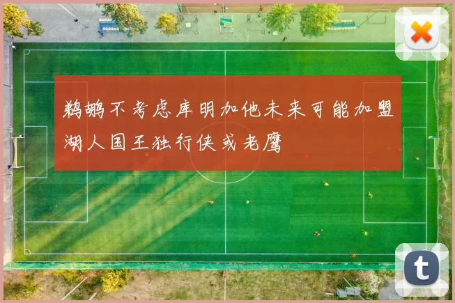 鹈鹕不考虑库明加他未来可能加盟湖人国王独行侠或老鹰